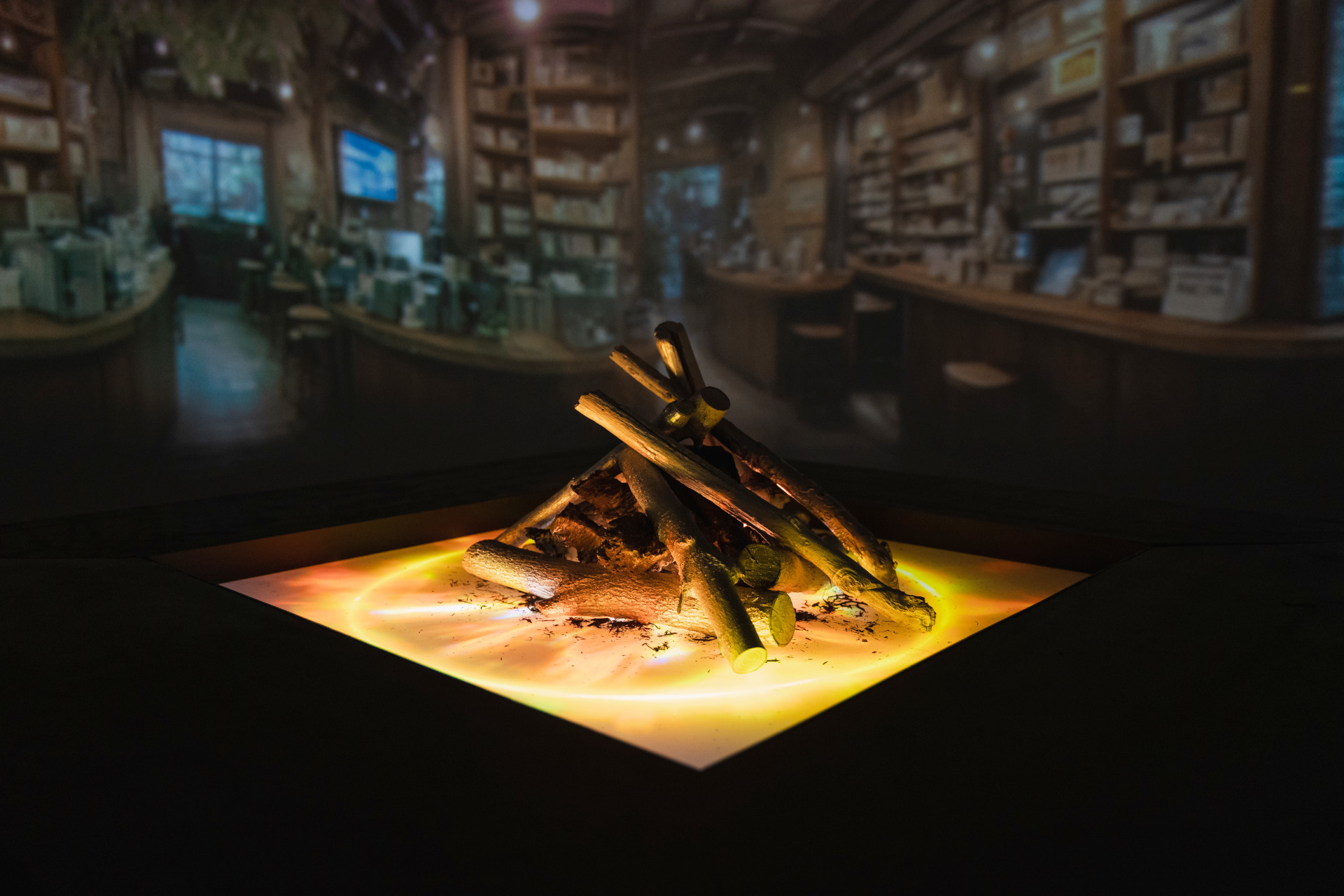 Feed the Fires bookstore visualization created by AI storytelling system